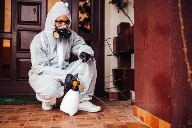 Reliable Ant Control contractor in Winterville, NC by Nex Pest Control
